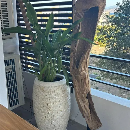 A Isula Paradisu - Classe 4 Etoiles *