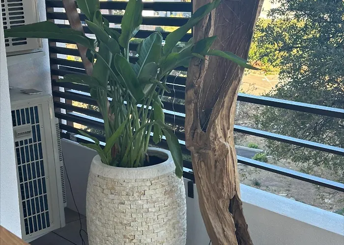 A Isula Paradisu - Classe 4 Etoiles *